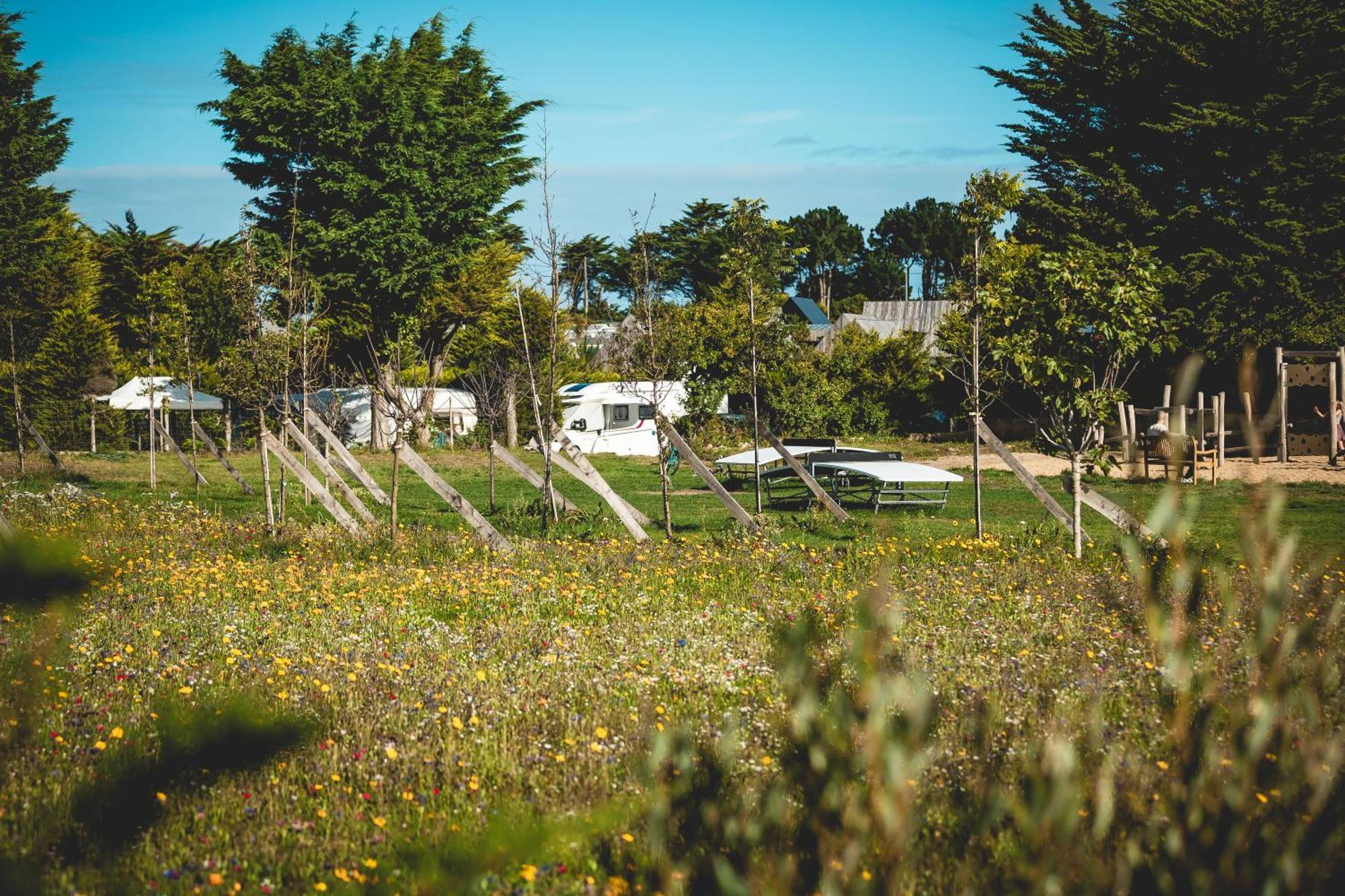 Sauvage Hotel Quiberon Exterior photo